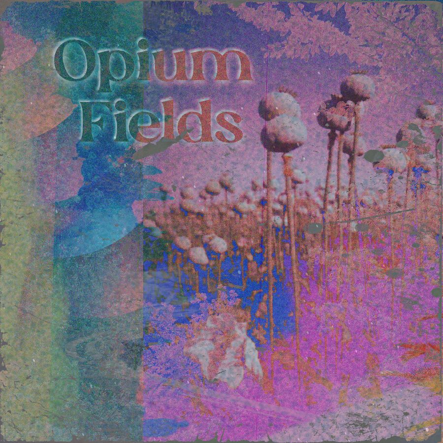 Opium Fields
