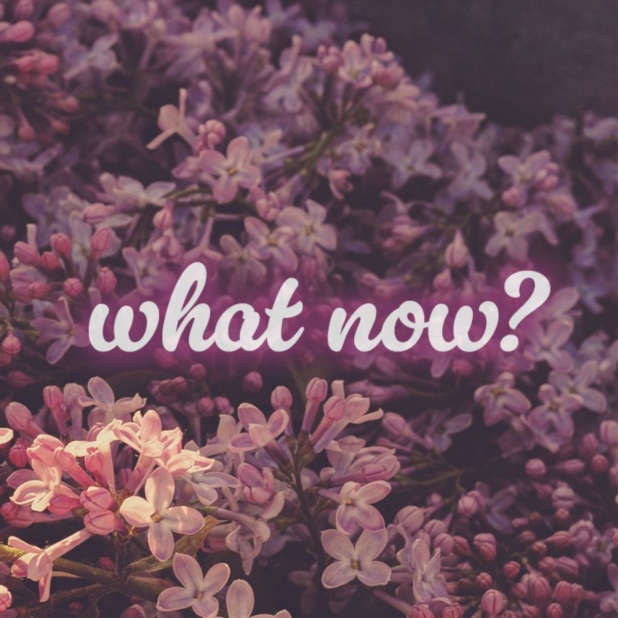 What Now?